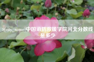 枣庄中国消防救援学院河北分数线是多少