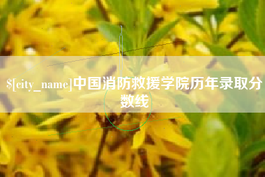 枣庄中国消防救援学院历年录取分数线