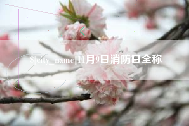 枣庄11月9日消防日全称