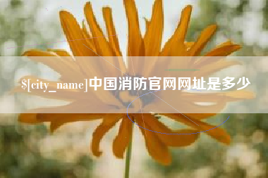 枣庄中国消防官网网址是多少