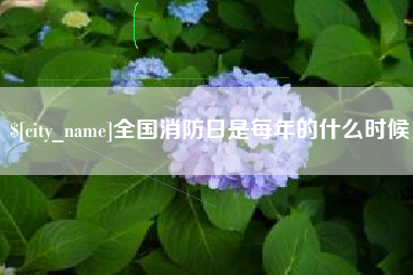 枣庄全国消防日是每年的什么时候