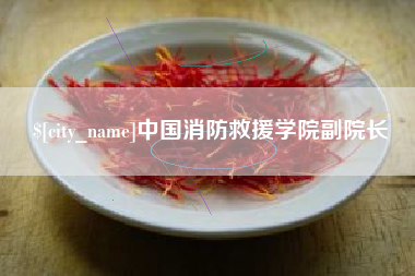 枣庄中国消防救援学院副院长