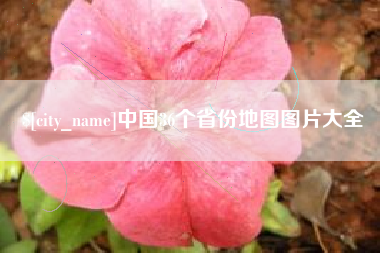 枣庄中国36个省份地图图片大全