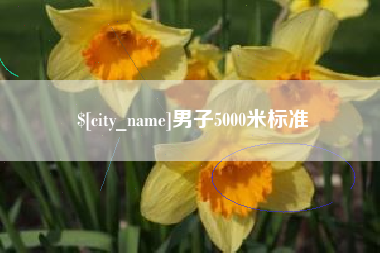 枣庄男子5000米标准