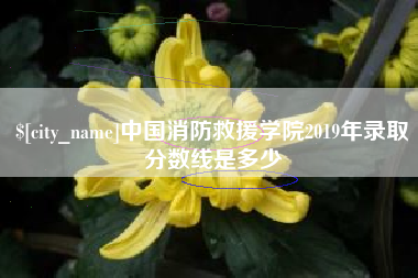 枣庄中国消防救援学院2019年录取分数线是多少