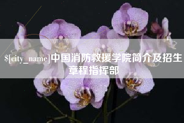 枣庄中国消防救援学院简介及招生章程指挥部