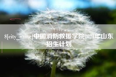 枣庄中国消防救援学院2021年山东招生计划