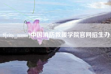 枣庄中国消防救援学院官网招生办