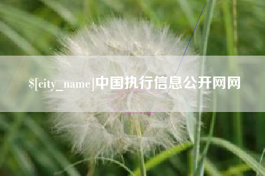枣庄中国执行信息公开网网
