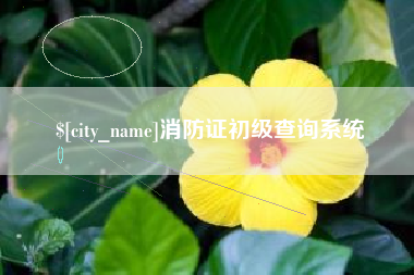 枣庄消防证初级查询系统