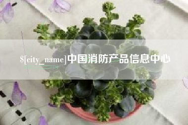 枣庄中国消防产品信息中心