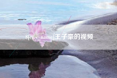枣庄王子豪的视频