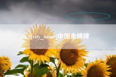 枣庄中国金牌牌