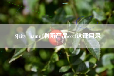 枣庄消防产品cccf认证目录