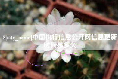 枣庄中国执行信息公开网信息更新时间是多久
