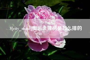 枣庄奥运金牌榜是怎么排的