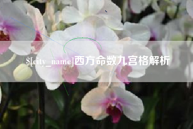 枣庄西方命数九宫格解析