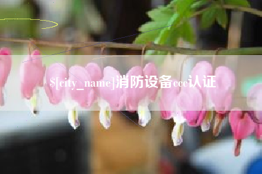 枣庄消防设备ccc认证