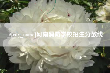 枣庄河南消防学校招生分数线