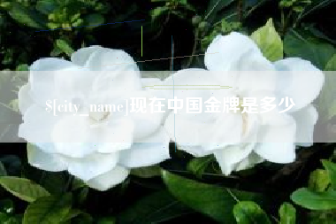 枣庄现在中国金牌是多少