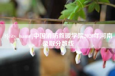 枣庄中国消防救援学院2020年河南录取分数线
