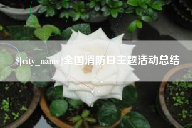 枣庄全国消防日主题活动总结