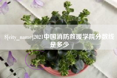 枣庄2021中国消防救援学院分数线是多少