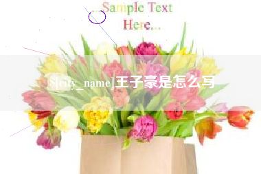 枣庄王子豪是怎么写