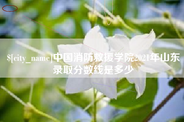 枣庄中国消防救援学院2021年山东录取分数线是多少