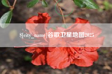 枣庄谷歌卫星地图2025
