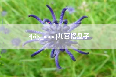 枣庄九宫格盘子