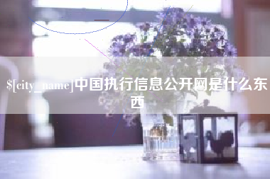 枣庄中国执行信息公开网是什么东西