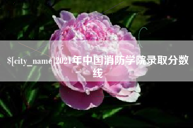 枣庄2021年中国消防学院录取分数线