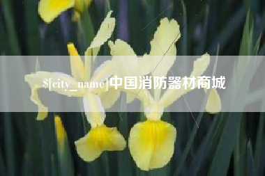 枣庄中国消防器材商城