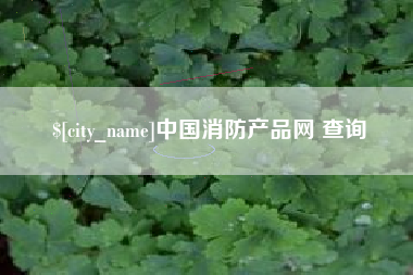 枣庄中国消防产品网 查询