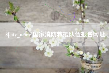 枣庄国家消防救援队伍报名网址