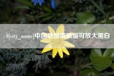 枣庄中国地图清晰版可放大黑白
