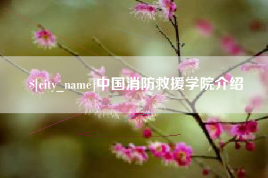 枣庄中国消防救援学院介绍