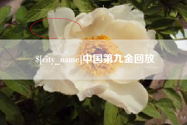 枣庄中国第九金回放