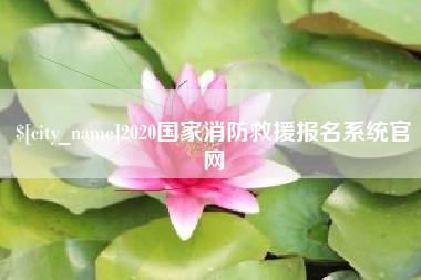 枣庄2020国家消防救援报名系统官网