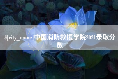 枣庄中国消防救援学院2021录取分数