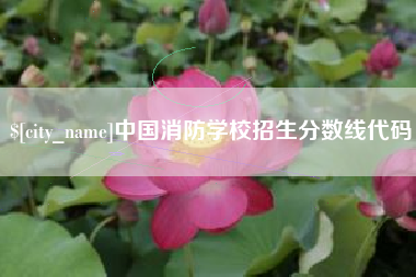 枣庄中国消防学校招生分数线代码