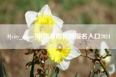 枣庄中国消防官网报名入口2024