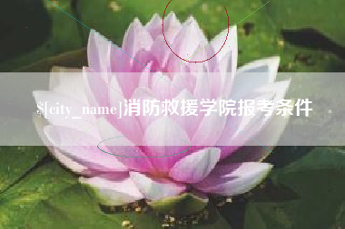枣庄消防救援学院报考条件
