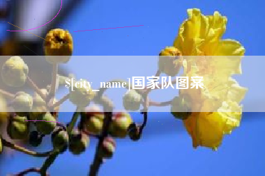 枣庄国家队图案