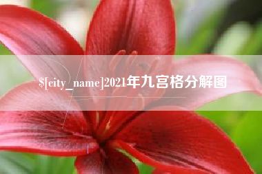 枣庄2021年九宫格分解图
