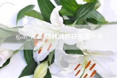 枣庄森林消防日是哪一天