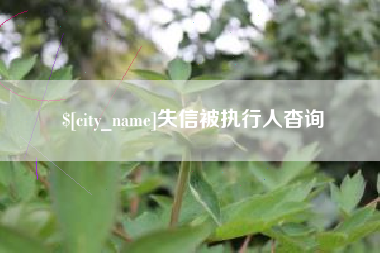 枣庄失信被执行人杳询