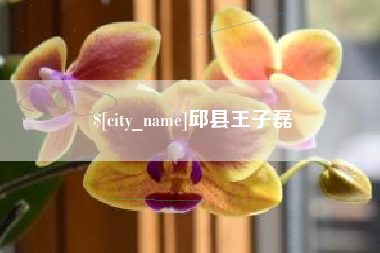 枣庄邱县王子磊