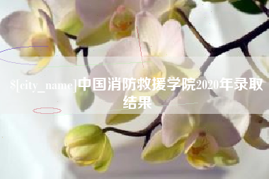 枣庄中国消防救援学院2020年录取结果